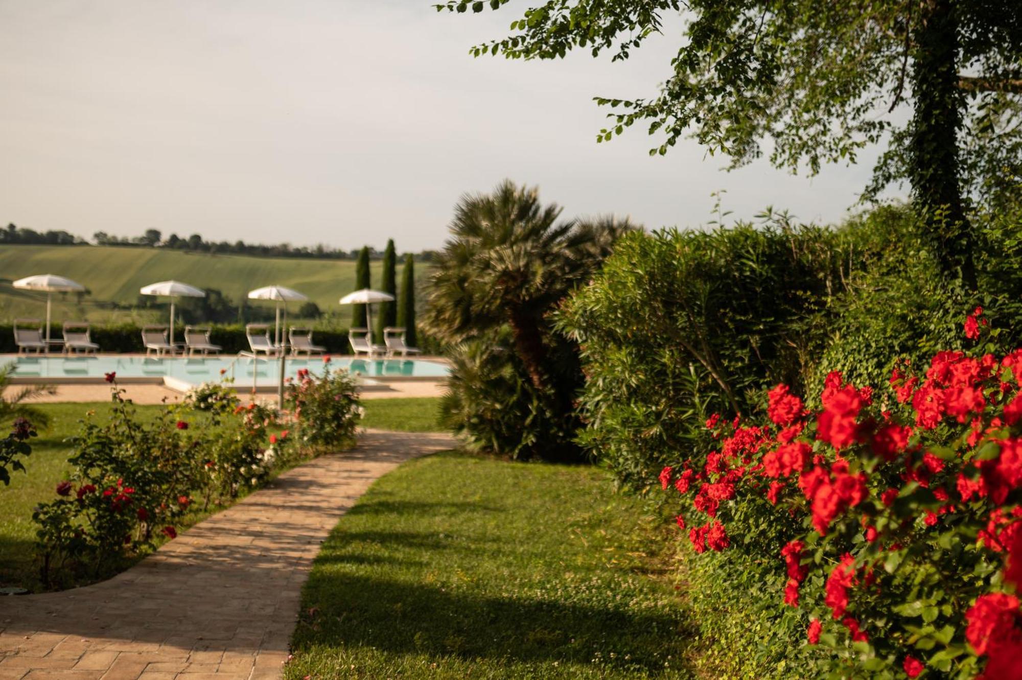Poggio Antico Appartement Monte San Vito Buitenkant foto